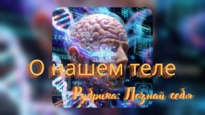 Наше тело. Светлана Андрейченко ВселеннаяЯ. #тело #вселеннаяя #познайсебя