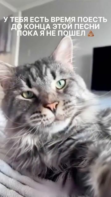 😺🤪 смотреть онлайн