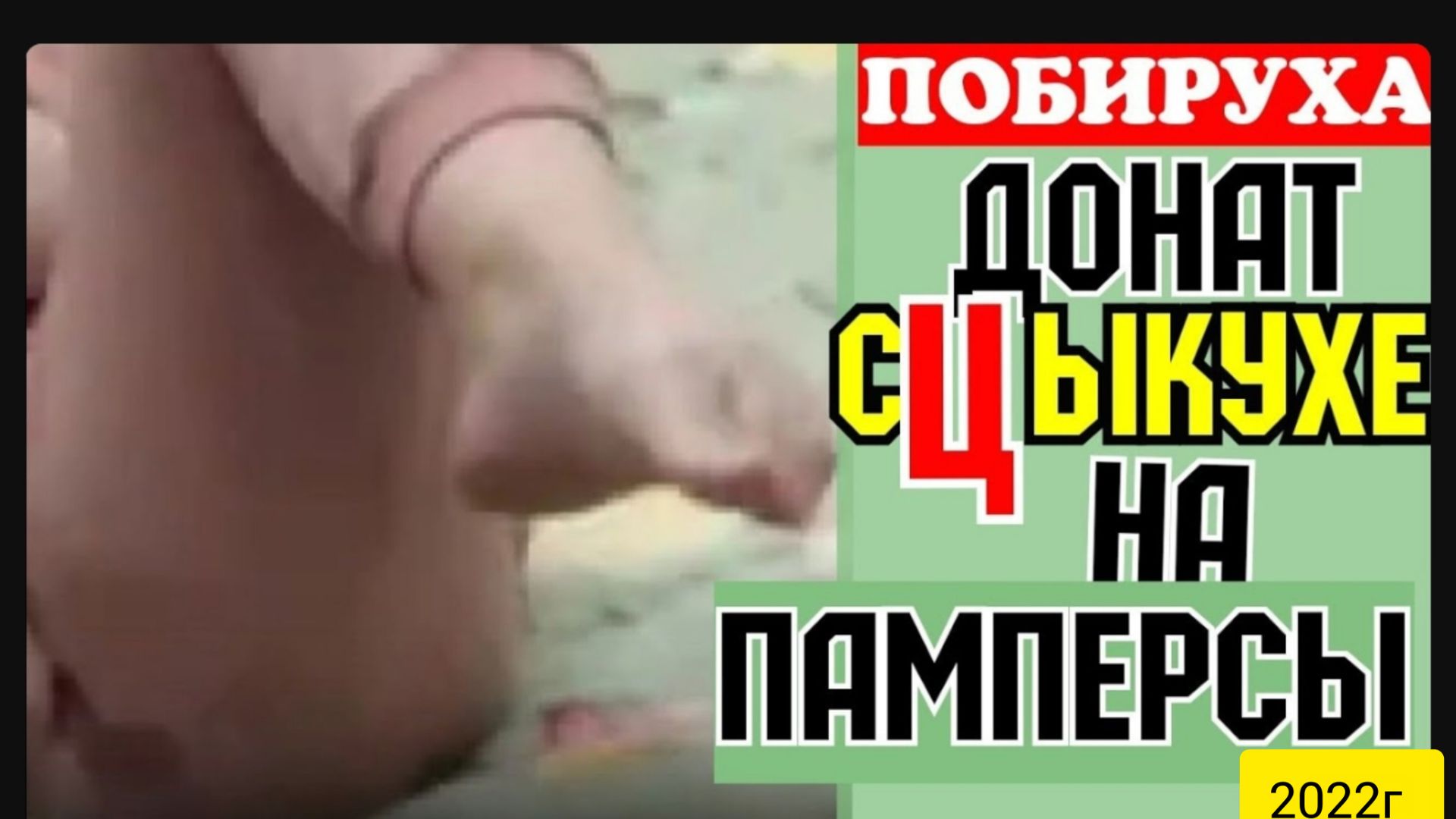 Деревенский дневник очень многодетной мамы _Донат сЦЫкухе на памперсы _Обзор _Мать-героиня _
