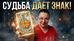 НЕ УПУСТИ СВОЮ УДАЧУ!  ЧТО ТЕБЕ НАДО ЗНАТЬ ПРЯМО СЕЙЧАС? | Гадание таро расклад