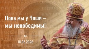 Не теряй человеческий облик! Праздник иконы «Неупиваемая Чаша», проповедь о. Андрея Лемешонка 18 мая