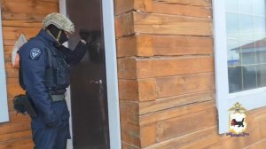 В нелегальной заготовке древесины в Иркутской области уличены бизнесмен и работники лесничества