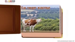 78. Видео с животными для ребёнка от года. Все обучающие карточки