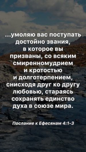 «...умоляю вас поступать достойно звания, в которое вы призваны...»