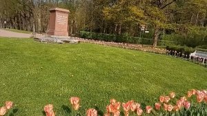 1. Павловский парк . 2026-05-17 . Дворы, газоны, девушки в камне.