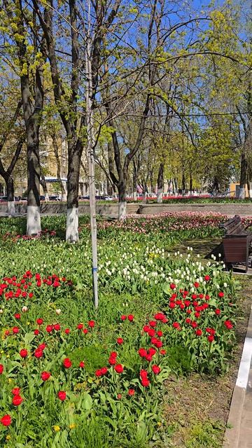 В парке Белгорода