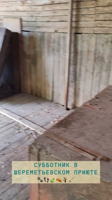 rutube.ru