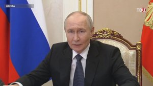 Путин обсудил с Совбезом развитие отрасли редкоземельных металлов