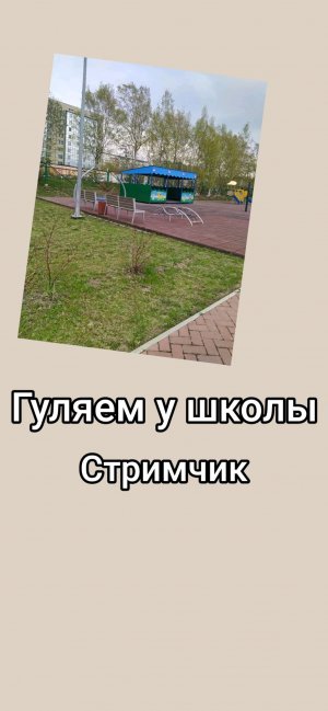 Гуляем у школы