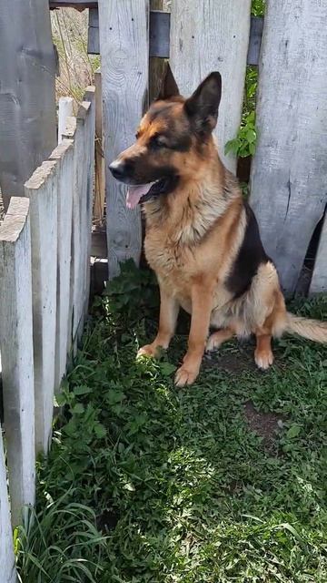 Тепло пришло и к нам💥 смотреть онлайн