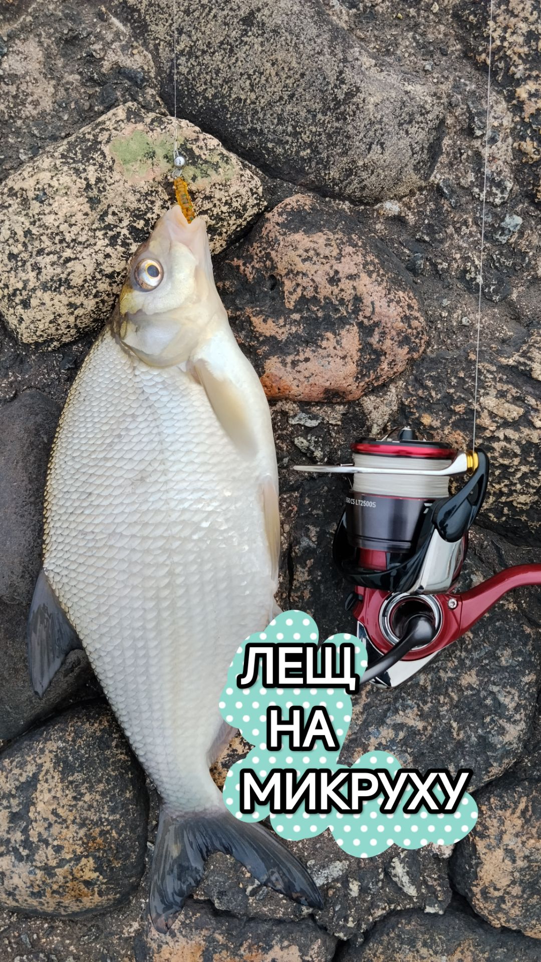 ЛЕЩ НА МИКРОДЖИГ