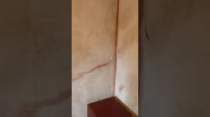 1000160954.mp4