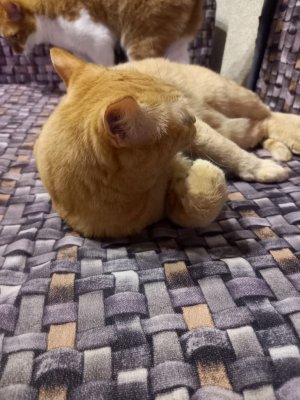 играю