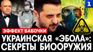 Украинская «Эбола»: секреты биооружия