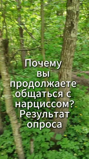 Почему вы продолжаете общаться с (бывшим) нарциссом?