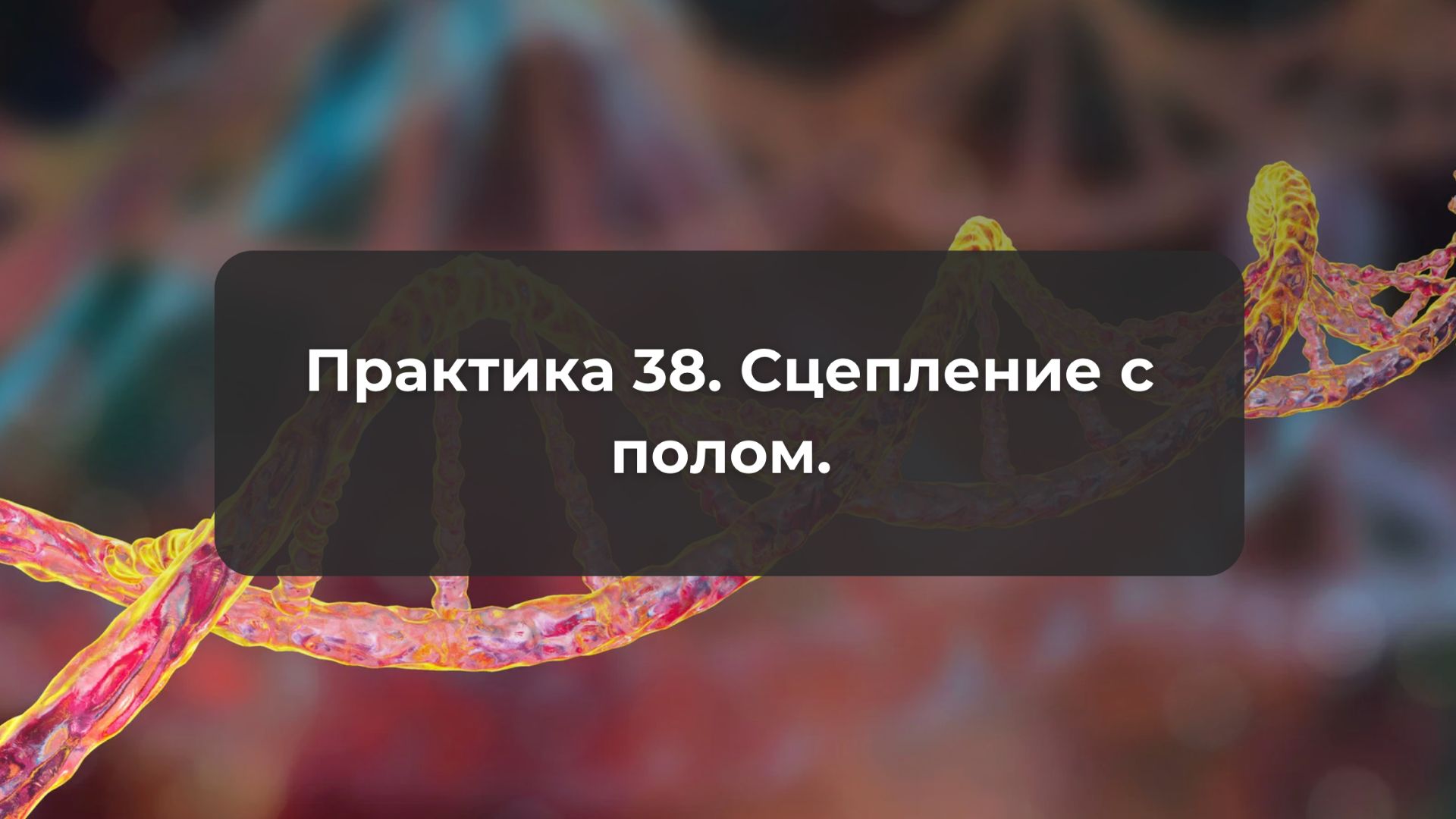 Практика 38. Сцепление с полом.