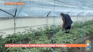 Ростовский городовой. 16 мая 2026