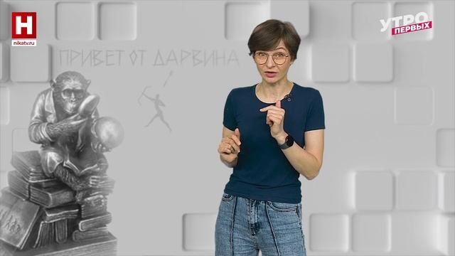 Бег здорового человека | ПРИВЕТ ОТ ДАРВИНА