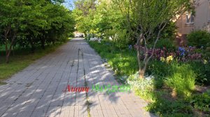 Анапа 18.05.2026 утро