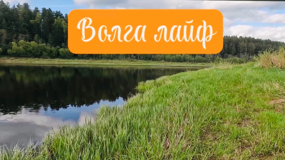 Волга лайф