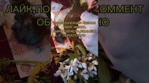НАИСИЛЬНЕЙШАЯ ПОЛНАЯ ТВОЯ ЧИСТКА