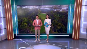 Утро в Петербурге 18 мая