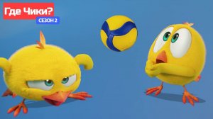 Где Чики# 🐥 Chicky НОВАЯ СЕРИЯ! 🏐 волейбольный турнир # Сборник мультфильмов на русском языке