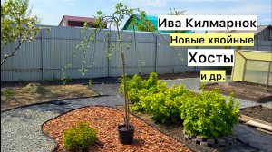 Рабочий ВЛОГ! Не поработаешь, не полюбуешься! Сажаю новые растения!