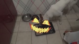 Как сделать кишки. Костюм на хеллоуин!