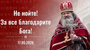О духовной «дальнозоркости». Воскресная проповедь протоиерея Андрея Лемешонка. 17 мая 2026 г.