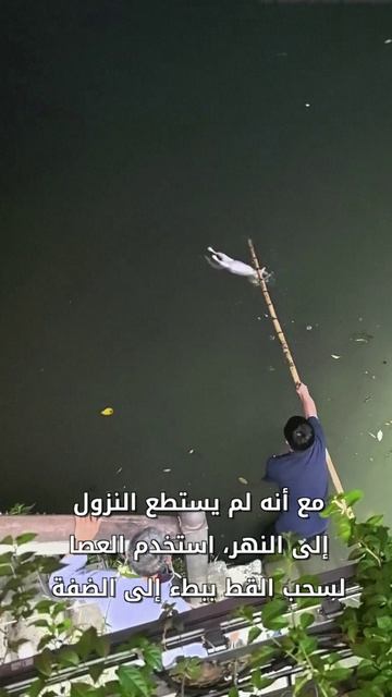 🐱Житель Китая спас котёнка из реки