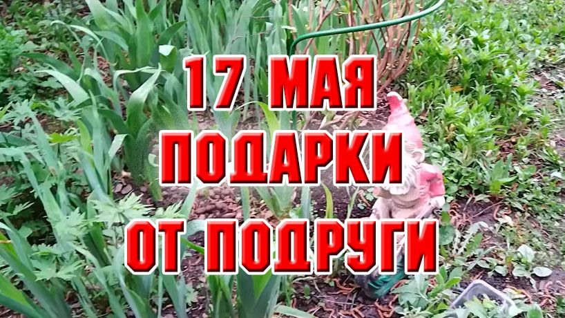 17 мая. Подарки от подруги (из архива)