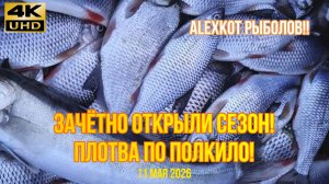 Зачётная рыбалка на плотву. 11 мая 2026.