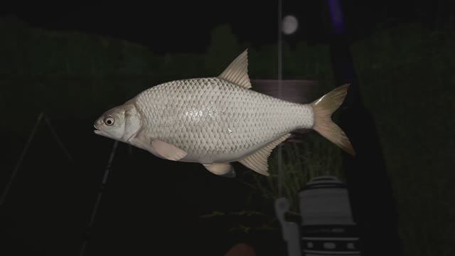 Russian Fishing 4 136 серия Борьба с лещем, не плохой улов