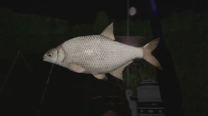 Russian Fishing 4 136 серия Борьба с лещем, не плохой улов