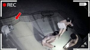 На Камеру Наблюдения Попало Такое, Что Никто Не Ожидал Увидеть