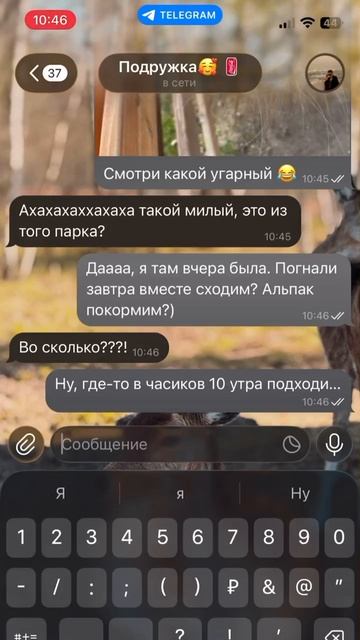 Ранний подъем!