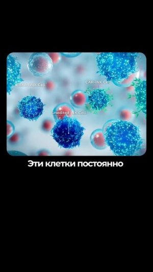Синрин-Йоку