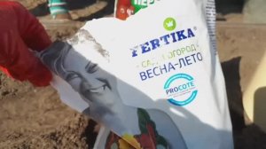 2448.  ВПЛ. 8 мая 2023 г.Как я сею морковь и свёклу?