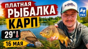 Платная рыбалка КАРП