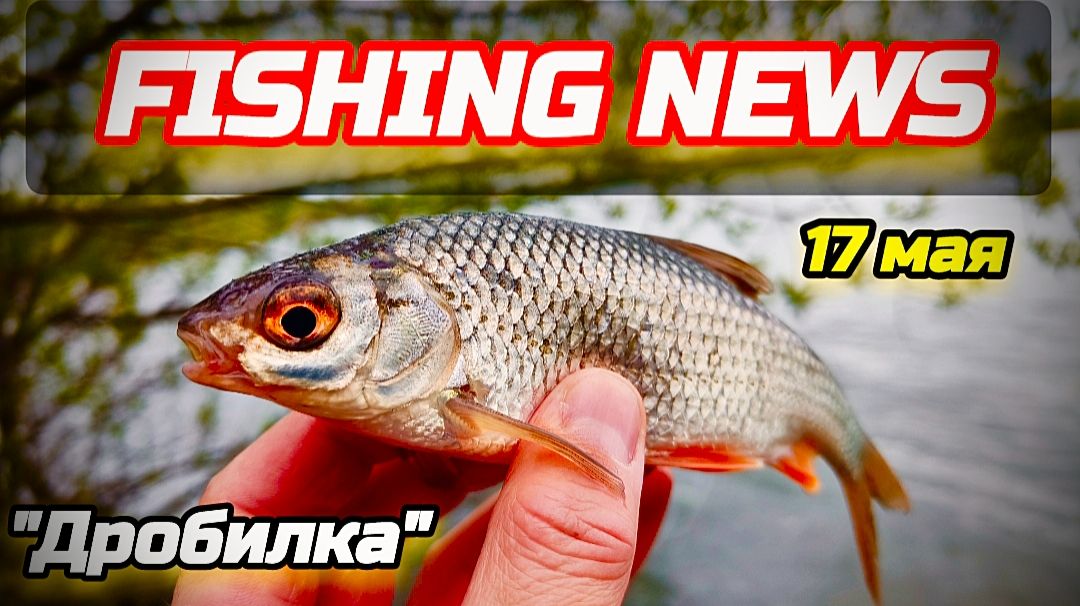 FISHING NEWS (рыболовные новости Nvkz) Ловим карася на поплавочку