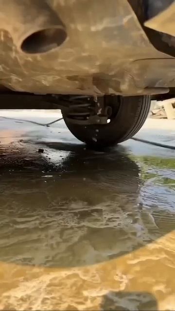 Они отмыли