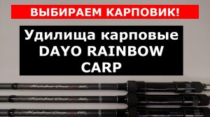 ЛУЧШИЕ БЮДЖЕТНЫЕ КАРПОВЫЕ УДИЛИЩА. ВЫБИРАЕМ КАРПОВИК. УДИЛИЩЕ ДЛЯ КАРПА DAYO RAINBOW