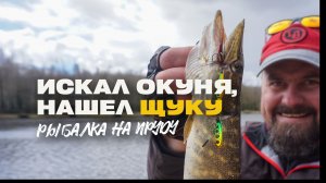 Искал Щуку а Нашел Окуня Легкий Спиннинг на Пруду Рыбалка Весной в Непогоду