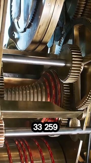 Этот лебедь двигается уже 250 лет 🤯