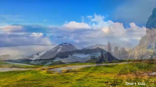 Животные зоопарка Учим животных из зоопарка Учим голоса и звуки животных зоопарка