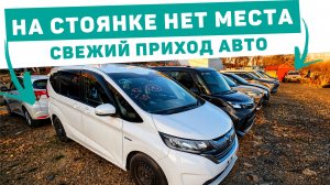 ШОК полная стоянка машин! Свежий приход машин из Японии