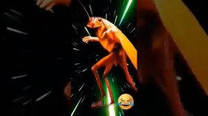 Частушки дразнилки.