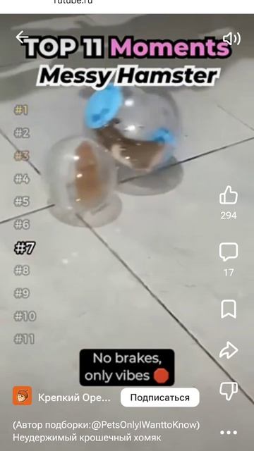 хахахахахахаххахаха смотреть онлайн