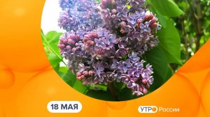 Утро России. Калуга (18.05.2026)